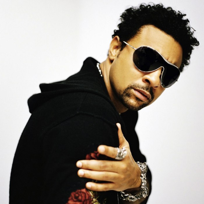 Shaggy