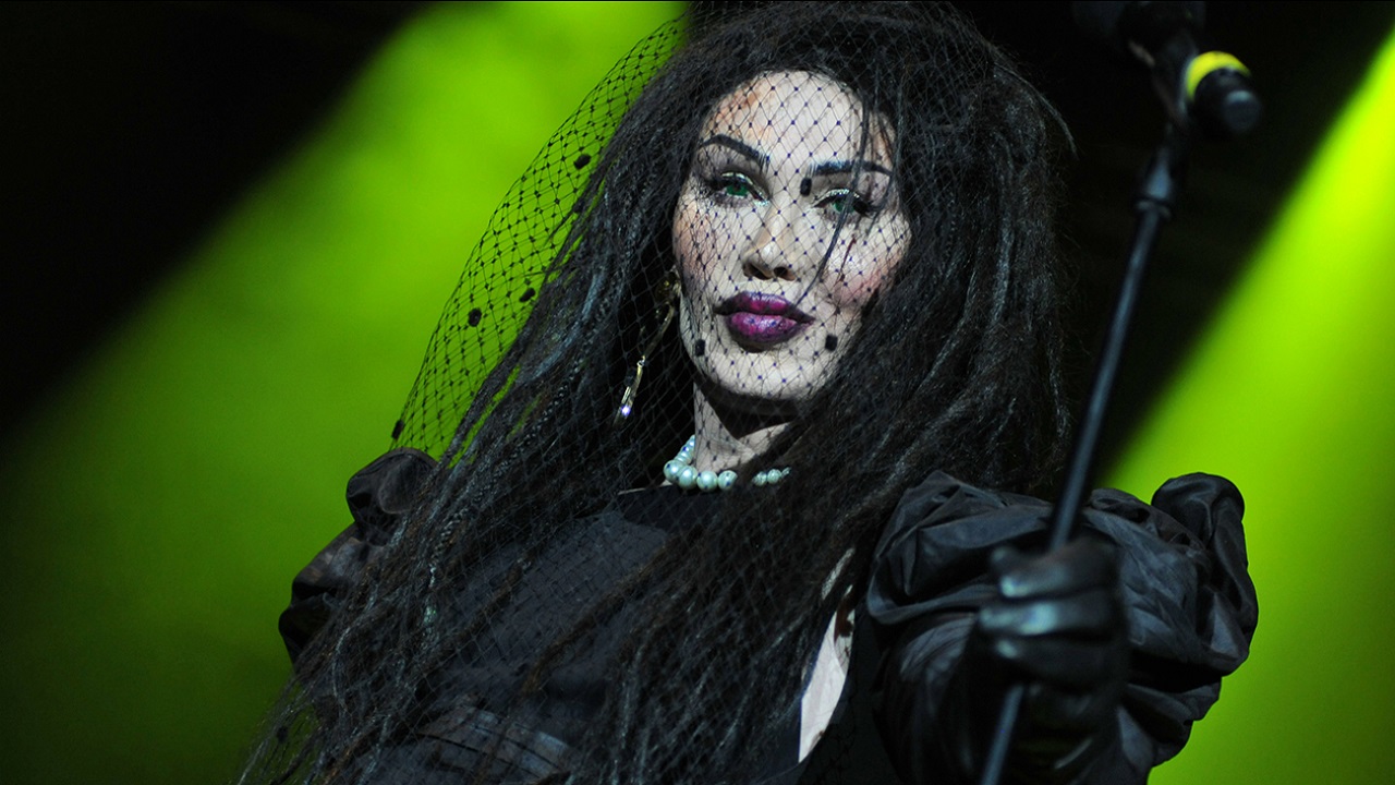Dead or Alive photo
