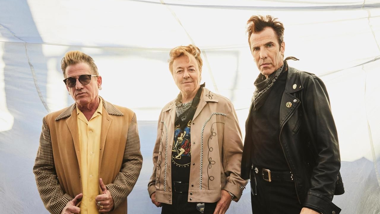 Stray Cats photo