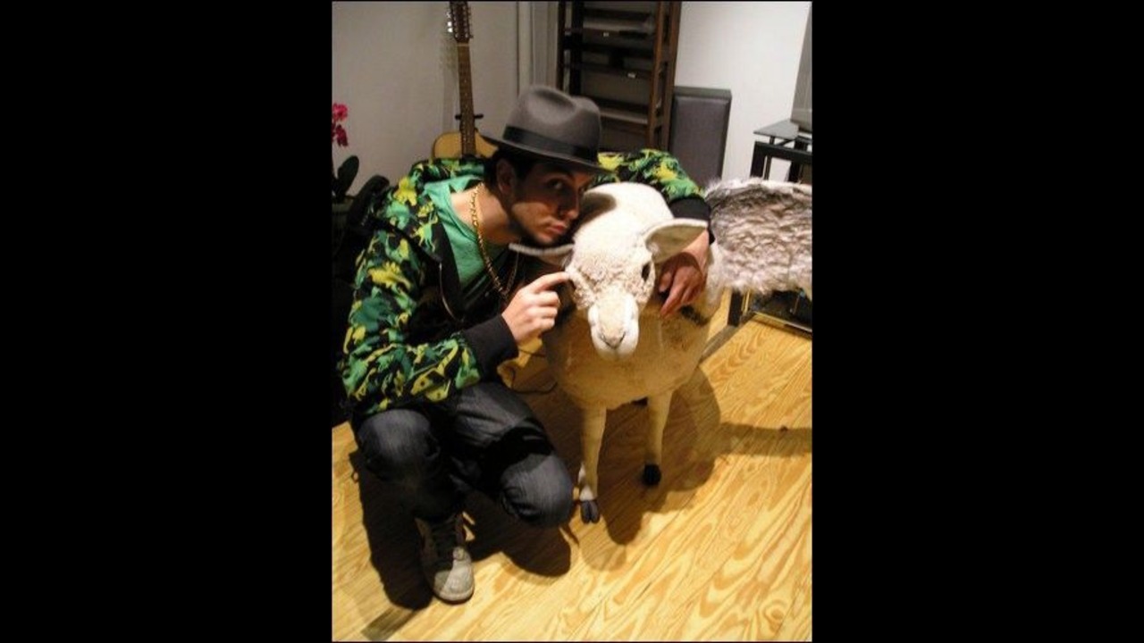 Cobra Starship photo