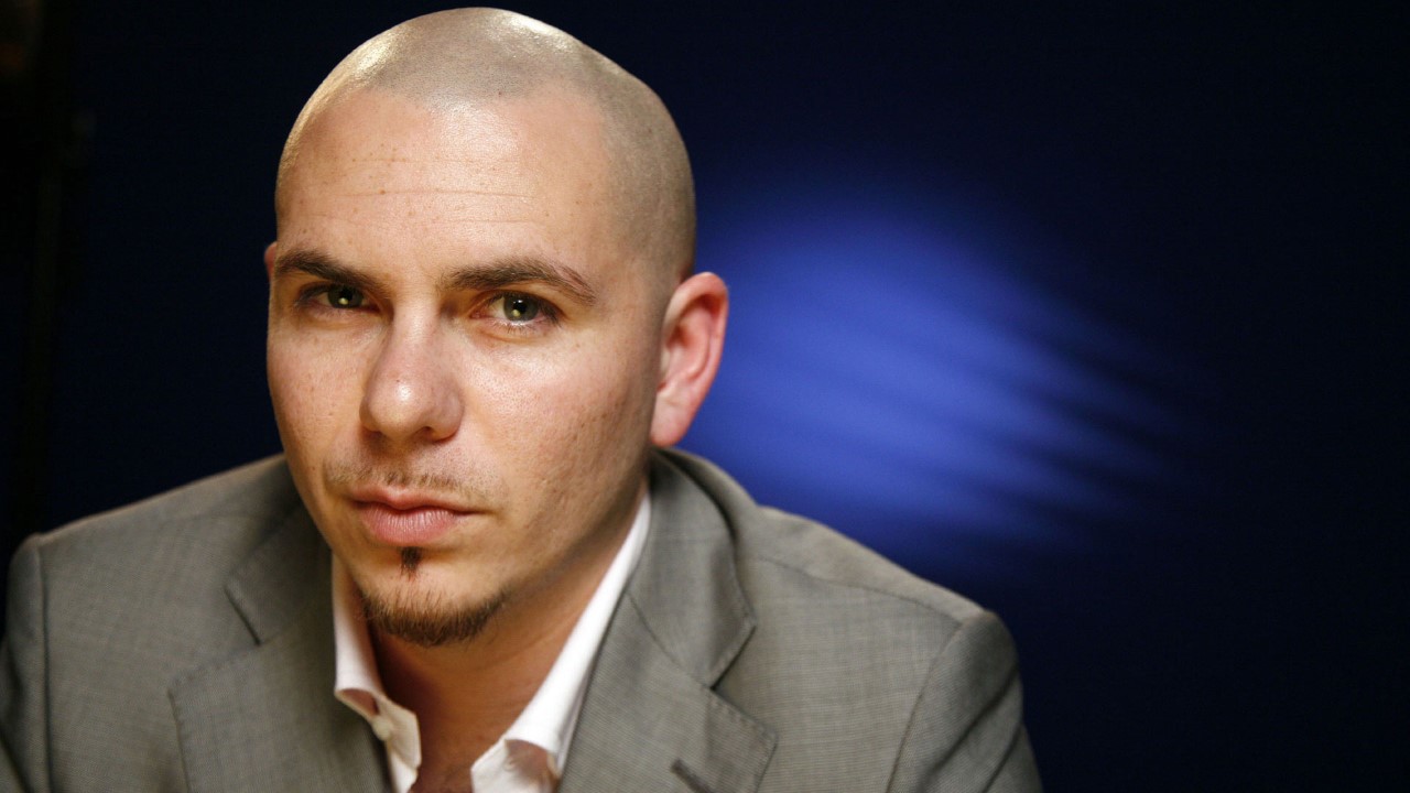 Pitbull photo