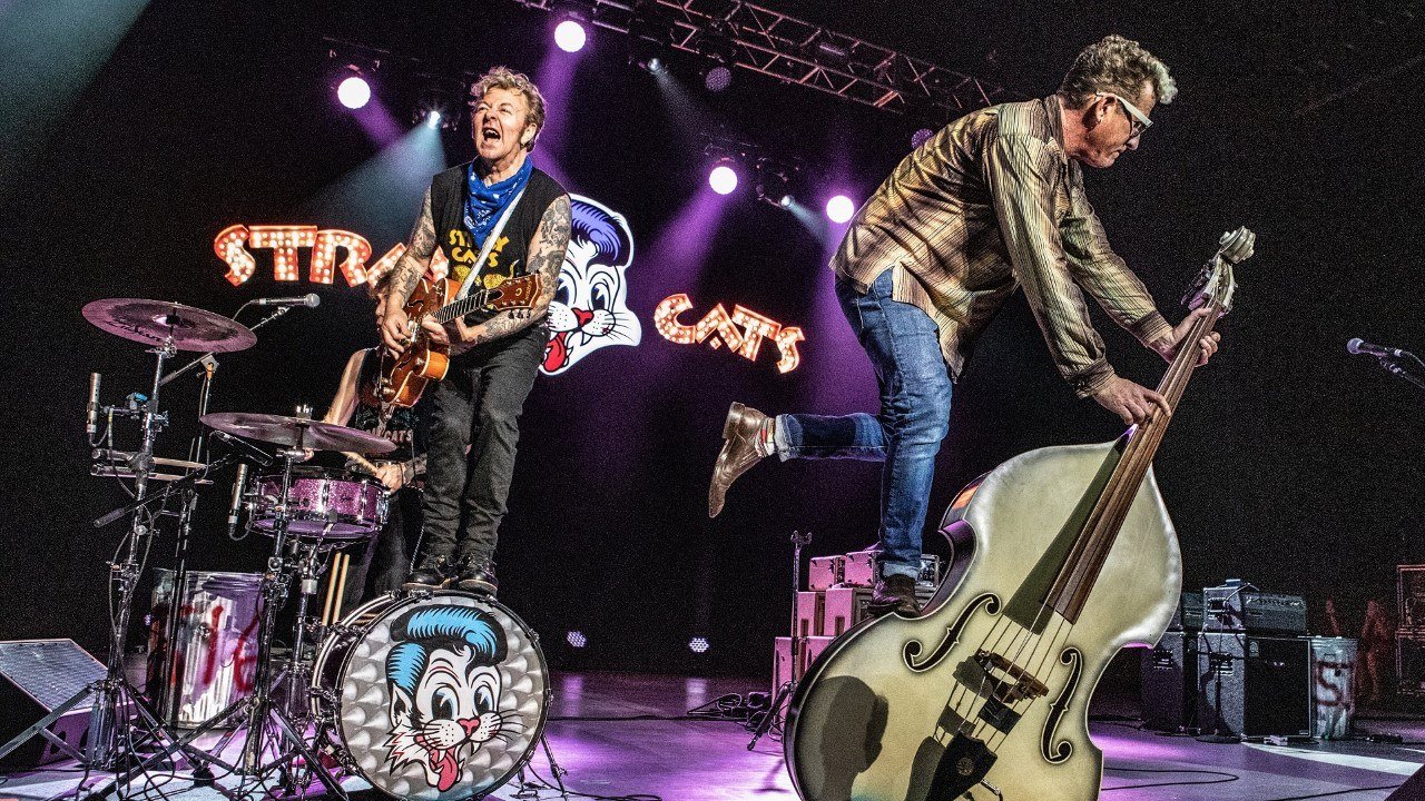Stray Cats photo