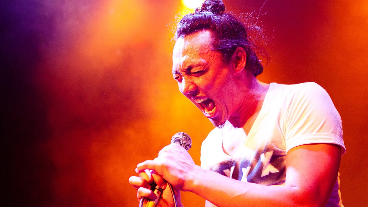 Regurgitator photo