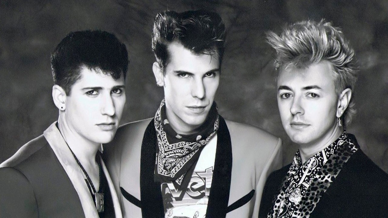 Stray Cats photo
